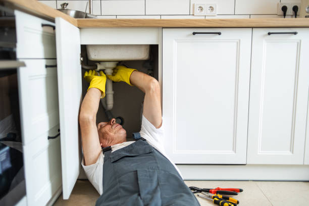 Best Plumbing Services Near Me  in Hoback, WY
