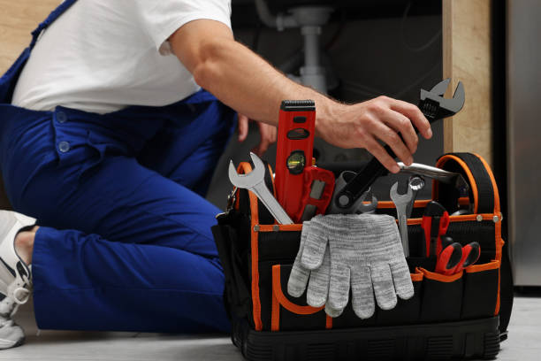 Best Commercial Plumbing Services  in Hoback, WY