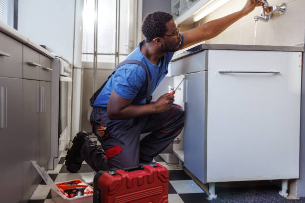 Best Clogged Drain Plumber  in Hoback, WY